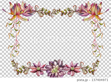 Aeonium rosette succulents, protea buds and trailing jungle vine plants frame. Isolated illustration hand drawn in watercolor. Organic product labels, zero-waste shop visuals, wellness brochures. Aeonium rosette succulents, protea buds and trailing jungle vine plants frame. Isolated illustration hand drawn in watercolor. Organic product labels, zero-waste shop visuals, wellness brochures. 137404971