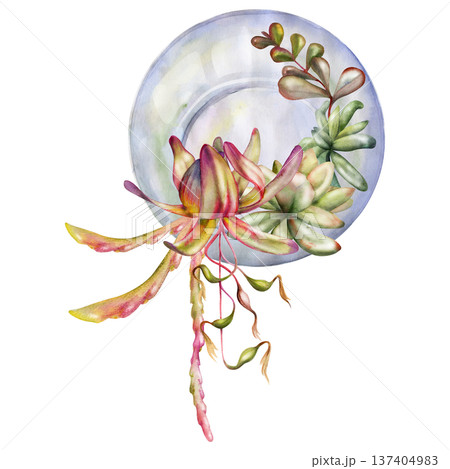 Glass orb florarium of succulent rosettes and flowing vines foliage. Protea leaves, disocactus sprouts. Isolated illustration hand drawn in watercolor. Wall art, nursery decor, plant shop signage. 137404983