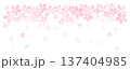桜の花 137404985