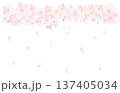 桜の花 137405034
