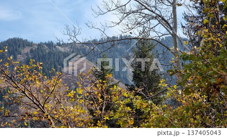 Beautiful Landscape In The Mountains Beautiful Landscape In The Mountains 137405043