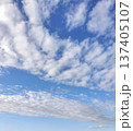 青空に広がる白い筋雲と綿雲の爽やかな風景 137405107