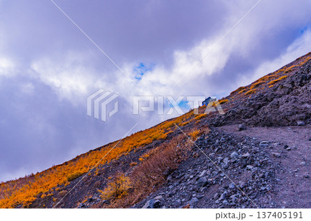 （静岡県）富士山・宝永遊歩道　紅葉と雲海 137405191