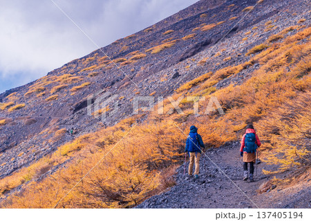 (静岡県)富士山・宝永遊歩道を歩く登山者 紅葉と雲海 (静岡県)富士山・宝永遊歩道を歩く登山者 紅葉と雲海 137405194