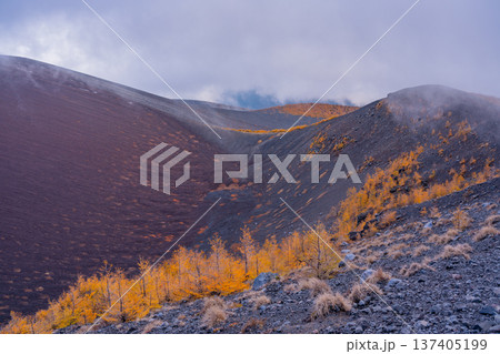 （静岡県）富士山・宝永遊歩道　紅葉と雲海 137405199