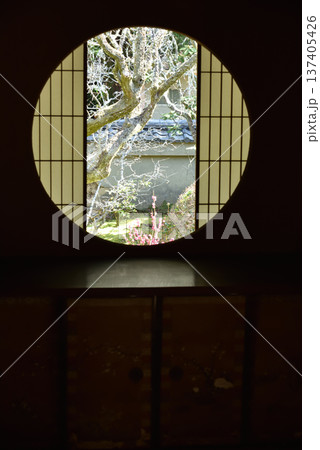 早春の雲龍院　悟りの窓(京都市東山区) 137405426