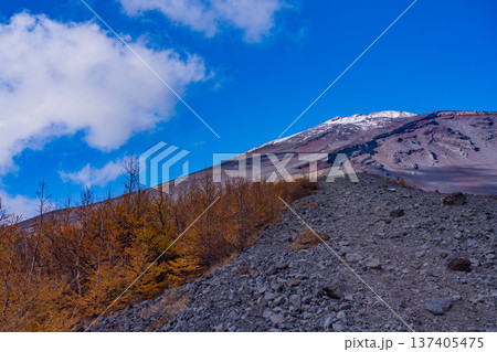 (静岡県)初冠雪の富士山 宝永火口淵から山頂を見る (静岡県)初冠雪の富士山 宝永火口淵から山頂を見る 137405475
