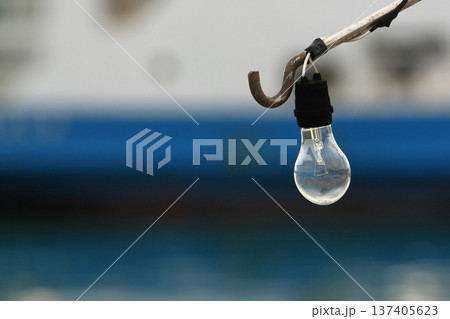 漁船に装置されている電球 137405623