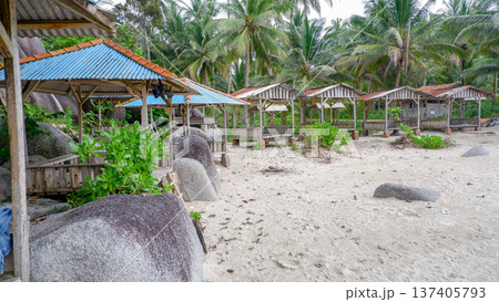Traditional Beach Gazebos Along Sandy Shore With Tropical Palm Trees 137405793