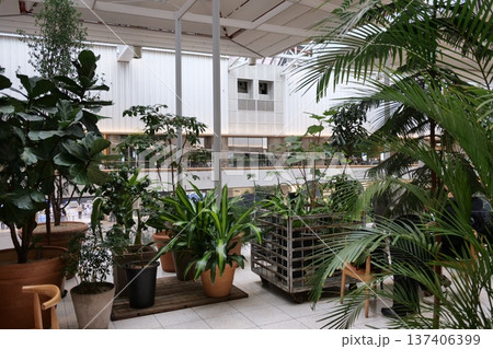 Bright Shopping Mall Atrium with Glass Ceiling and Urban Lifestyle 137406399