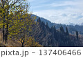 Beautiful Landscape With Mountains And Sky 137406466