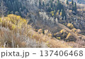 Beautiful Autumn Landscape With Trees And Leaves 137406468