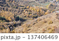 Beautiful Autumn Landscape With Trees And Leaves 137406469