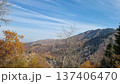 Beautiful Landscape With Mountains And Trees 137406470