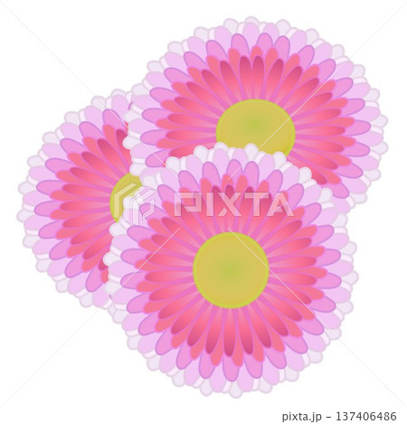 デージーの花イラスト デージーの花イラスト 137406486