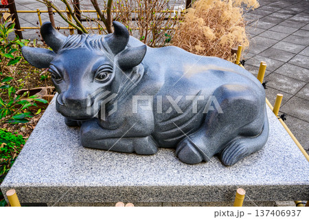 東京都 新宿区 成子天神社 表参道の撫で牛 東京都 新宿区 成子天神社 表参道の撫で牛 137406937