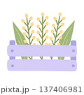 Spring Easter composition with flowers in a purple box. Vector illustration 137406981