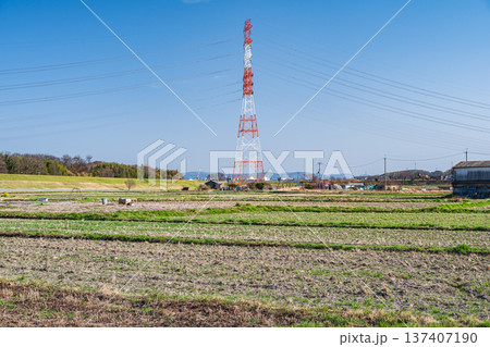 春の田園風景　京都府京田辺市 137407190