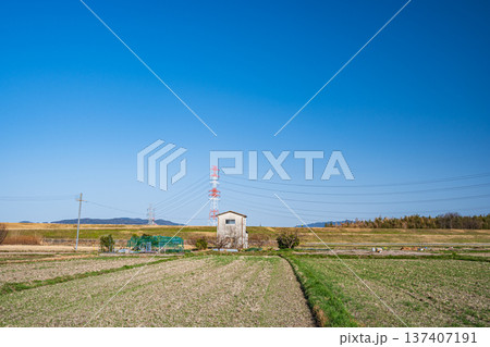 春の田園風景　京都府京田辺市 137407191