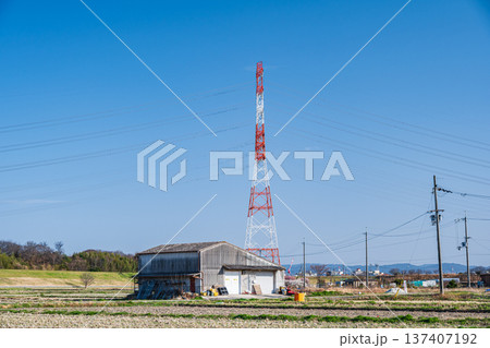 春の田園風景　京都府京田辺市 137407192