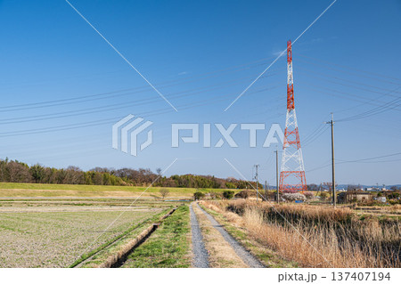 春の田園風景　京都府京田辺市 137407194