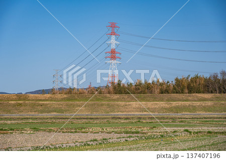 春の田園風景 京都府京田辺市 春の田園風景 京都府京田辺市 137407196