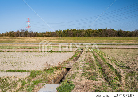 春の田園風景 京都府京田辺市 春の田園風景 京都府京田辺市 137407197