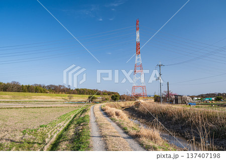 春の田園風景 京都府京田辺市 春の田園風景 京都府京田辺市 137407198