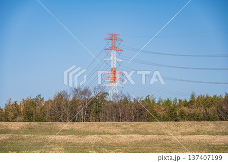 木津川の竹林の向こうに立つ送電線鉄塔　京都府城陽市　京田辺市 137407199