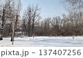 Winter Landscape With Snow Covered Trees 137407256