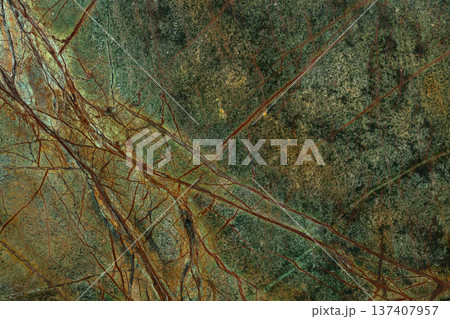 Bidasar Green Marble background, elegant texture in green color for home interior. 137407957