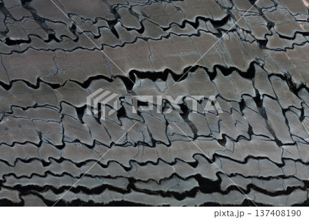 Close up of lined quartzite stone background. 137408190