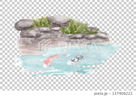 Watercolor Japanese garden pond with koi fish, rocky shoreline and grass. Hand painted zen landscape scene isolated on white, perfect for spa branding, oriental posters and tranquil decor designs Watercolor Japanese garden pond with koi fish, rocky shoreline and grass. Hand painted zen landscape scene isolated on white, perfect for spa branding, oriental posters and tranquil decor designs 137408222