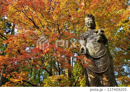 篠栗呑山観音寺 天王院の観世音菩薩 篠栗呑山観音寺 天王院の観世音菩薩 137409205