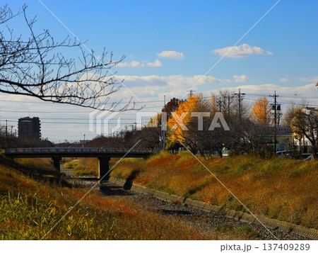 川と秋の風景 川と秋の風景 137409289