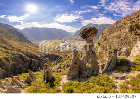Aerial panaramic view to Natural formations stone mushrooms in Akkurum tract against blue sky, rock formations of a bizarre shape in sunny day. Ulagan Chulyshman river Valley, Altai Republic, Russia 137409307