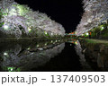 幻想的な春の夜、厚狭川に咲き誇る桜並木と美しい水鏡 137409503