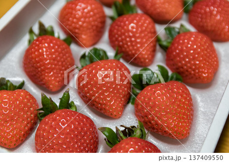 パックに入ったいちご、あまりん 137409550