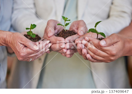 Earth day, nature plants and hands of business people with new tree life, green leaf or nurture agriculture growth. Sustainability, community charity and corporate team help eco friendly environment Earth day, nature plants and hands of business people with new tree life, green leaf or nurture agriculture growth. Sustainability, community charity and corporate team help eco friendly environment 137409647