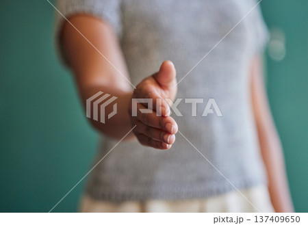 Business woman, handshake and meeting in hiring, introduction or b2b deal agreement at office. Closeup of female person shaking hands in recruiting, promotion or greeting and thank you at workplace 137409650
