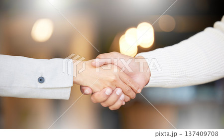 Business people, shaking hands and job interview, Human Resources meeting or welcome to partnership or opportunity. Professional clients handshake for recruitment, HR hiring and introduction in bokeh 137409708