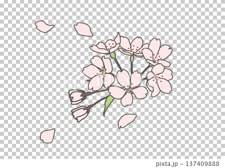 桜の花びらが舞うイラスト 桜の花びらが舞うイラスト 137409888