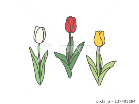 いろとりどりのチューリップのイラスト 137409894