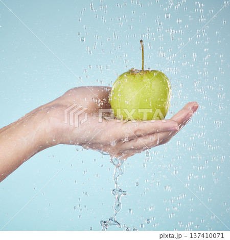 Person, hands and apple in water drops for diet, healthy wellness or eating plan against a blue studio background. Closeup of model holding natural organic green fruit in shower, health or nutrition Person, hands and apple in water drops for diet, healthy wellness or eating plan against a blue studio background. Closeup of model holding natural organic green fruit in shower, health or nutrition 137410071