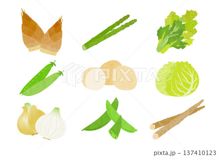 春野菜の手描き風イラストセット 137410123