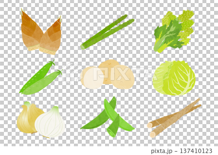 春野菜の手描き風イラストセット 137410123