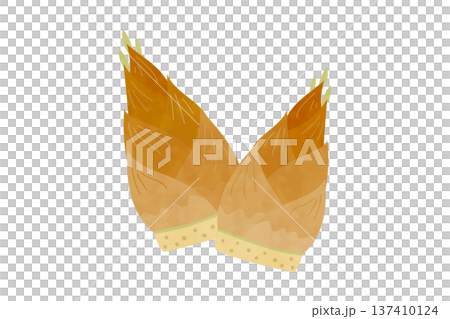 たけのこの手描き風イラスト たけのこの手描き風イラスト 137410124