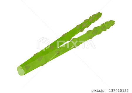 アスパラガスの手描き風イラスト 137410125