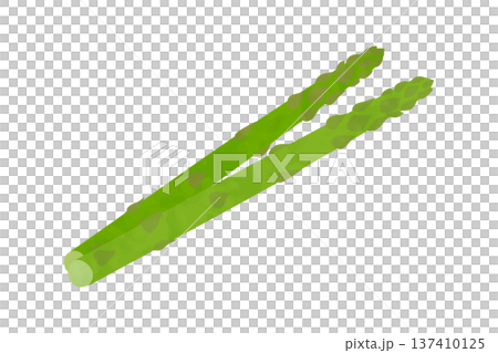 アスパラガスの手描き風イラスト 137410125