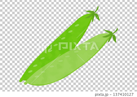 絹さやの手描き風イラスト 絹さやの手描き風イラスト 137410127